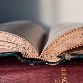Becas para personas con discapacidad